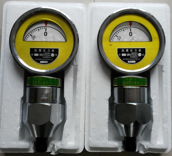 High Pressure Seismic Gauge